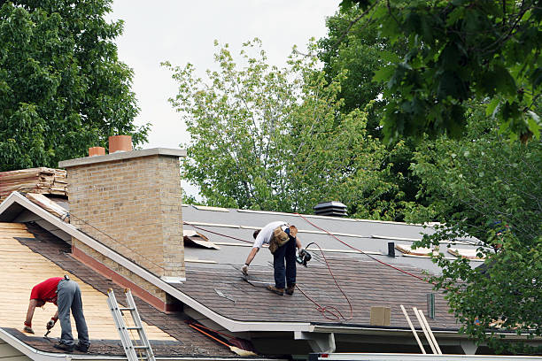 Best Affordable Roofing Company  in Hamburg, IA