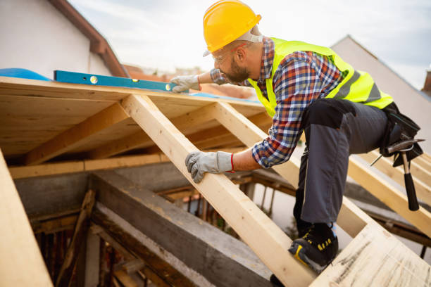 Best Local Roofing Companies  in Hamburg, IA