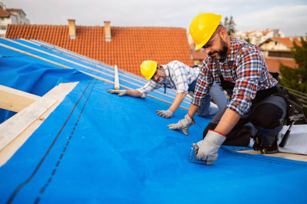 Best Sealant for Roof  in Hamburg, IA
