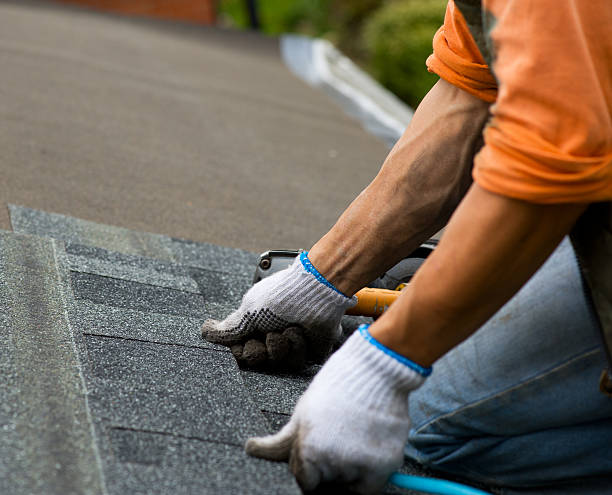 Best Roof Repair Services  in Hamburg, IA